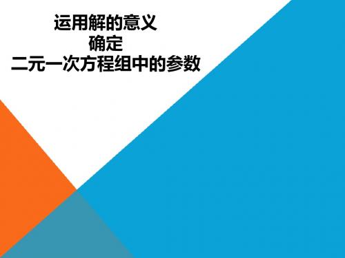 运用解的意义确定二元一次方程组中的参数