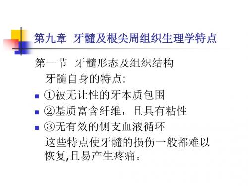 牙髓及根尖周组织生理学特点_温医《牙体牙髓病学》课件