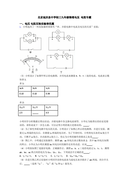 北京延庆县中学初三九年级物理电压 电阻专题