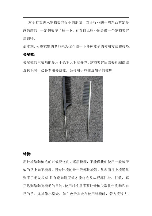 宠物美容培训学校需要用到的工具有哪些