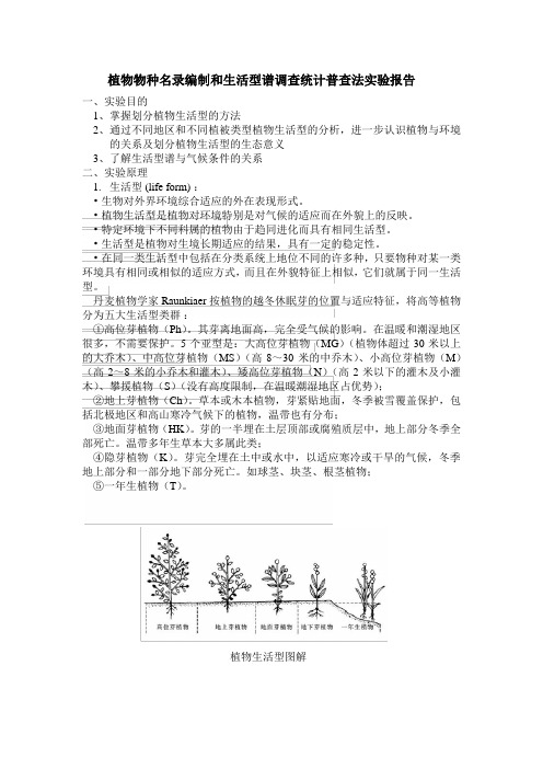 植物物种名录编制和生活型谱调查统计普查法实验报告1