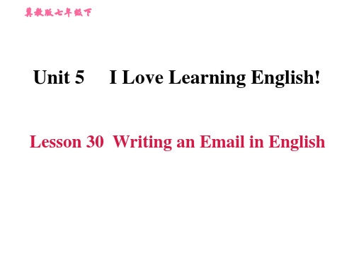 冀教版七下英语Unit5 Lesson 30 Writing an Email in English