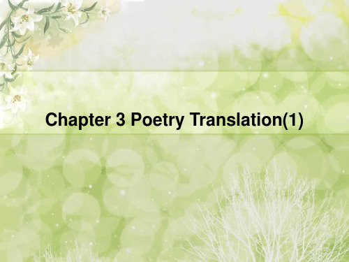 2011级文学翻译chapter 3.1-9.22