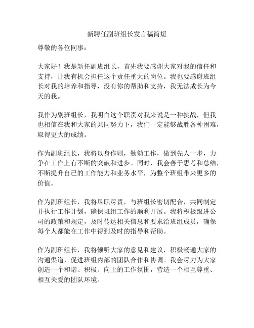 新聘任副班组长发言稿简短