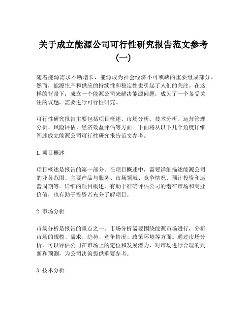 关于成立能源公司可行性研究报告范文参考 (一)