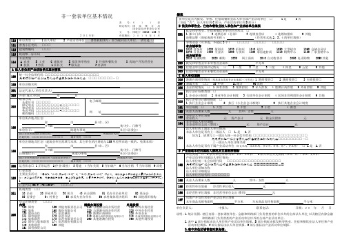 非一套表单位基本情况(611表)