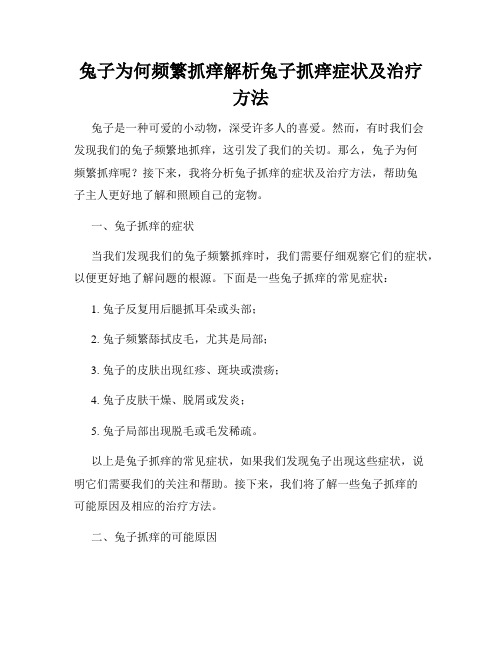 兔子为何频繁抓痒解析兔子抓痒症状及治疗方法