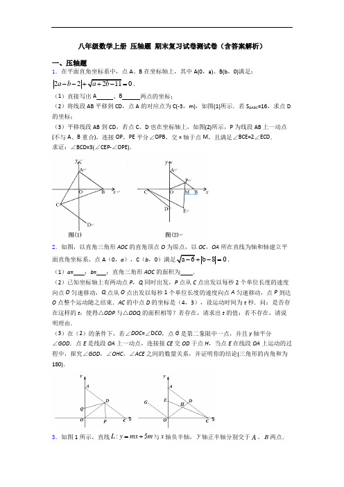 八年级数学上册 压轴题 期末复习试卷测试卷(含答案解析)