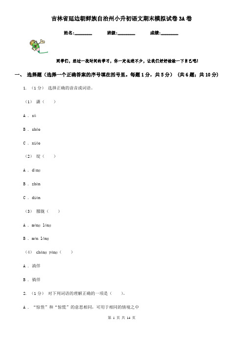 吉林省延边朝鲜族自治州小升初语文期末模拟试卷3A卷