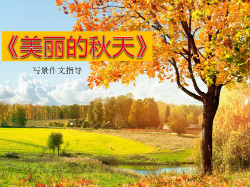 《美丽的秋天》小学生写景作文指导课件