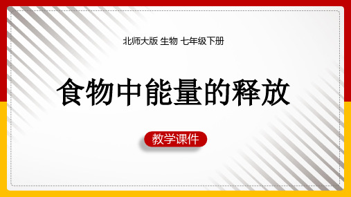 初中生物北师大版七年级下册《第1节食物中能量的释放》课件