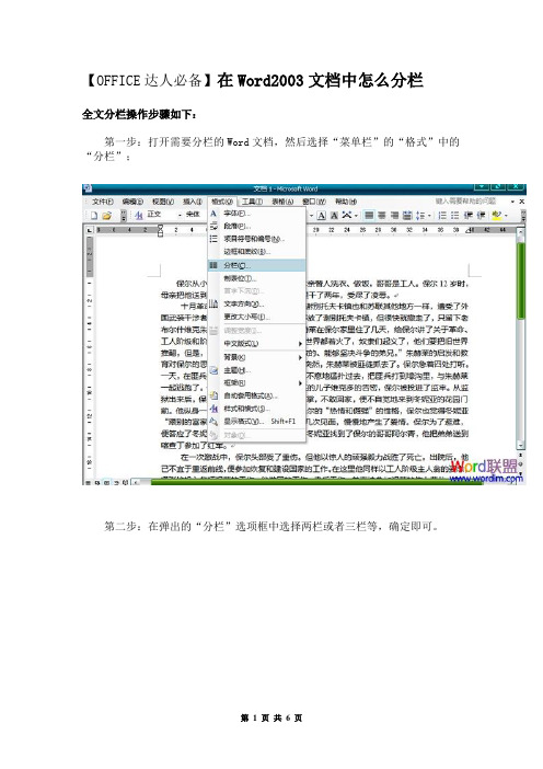 【OFFICE达人必备】在Word2003文档中怎么分栏