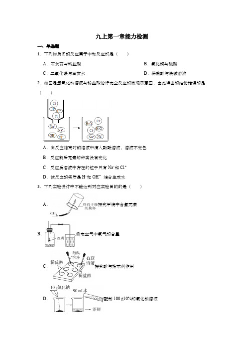 第一章 物质及其变化 能力检测 浙教版科学九年级上册