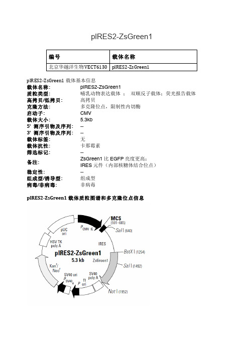 plRES2-ZsGreen1哺乳动物表达载体说明