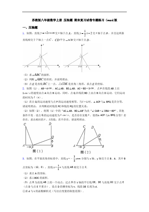 苏教版八年级数学上册 压轴题 期末复习试卷专题练习(word版