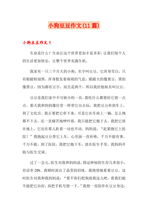 小狗豆豆作文(11篇)