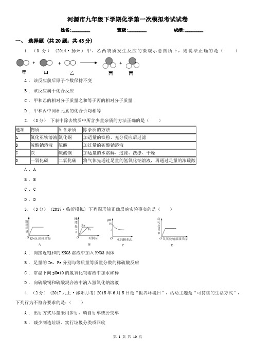 河源市九年级下学期化学第一次模拟考试试卷