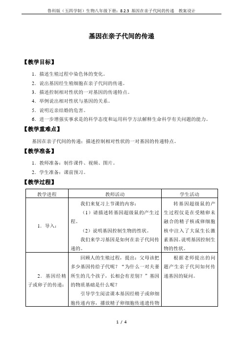 鲁科版(五四学制)生物八年级下册：8.2.3 基因在亲子代间的传递  教案设计