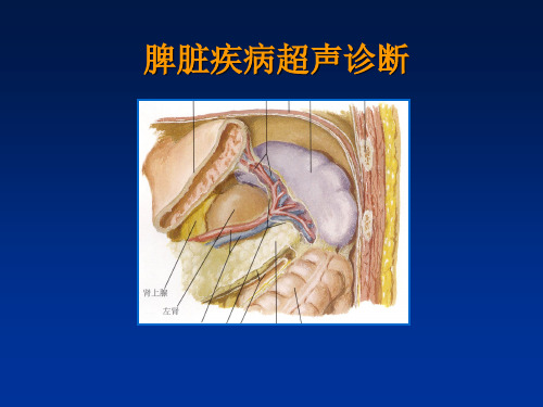 脾脏疾病超声诊断