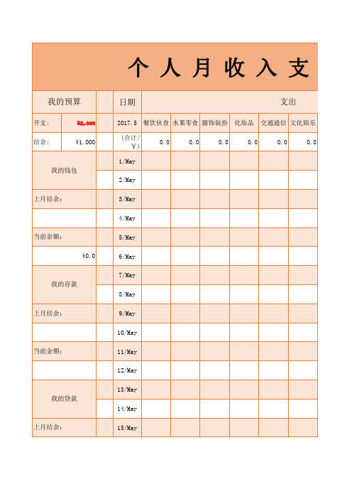 (标准版)个人月收入支出明细表