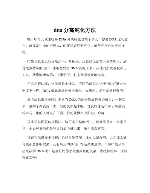 dna分离纯化方法