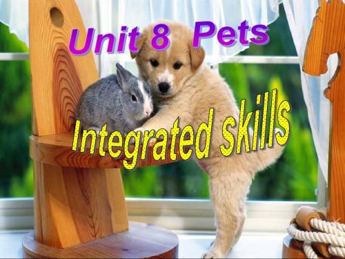 2018-2019学年牛津译林版七年级英语下册 Unit8 Integrated skills公开课课件