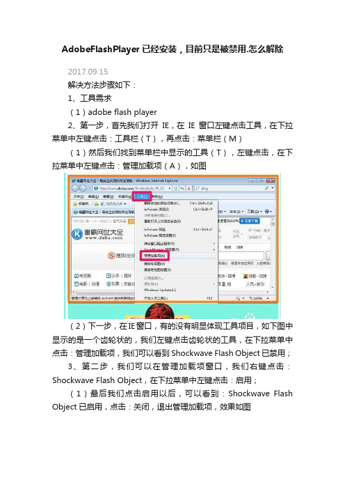 AdobeFlashPlayer已经安装，目前只是被禁用.怎么解除