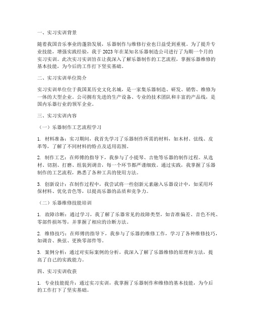 乐器实习实训报告