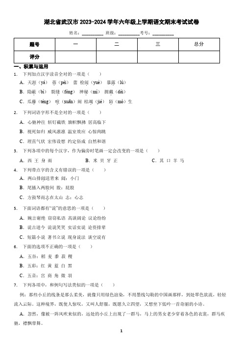 湖北省武汉市2023-2024学年六年级上学期语文期末试卷(含答案)