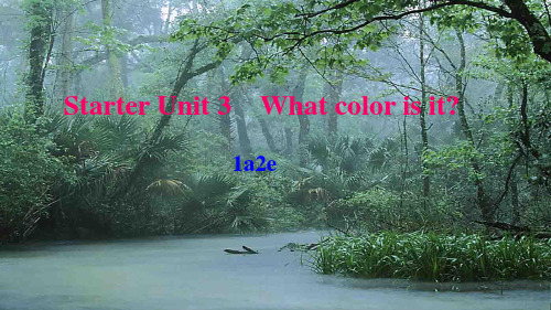 七年级英语 starter unit 3 what color is it(1a2e)作业