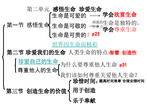 八年级政治感悟生命珍爱生命(PPT)3-2