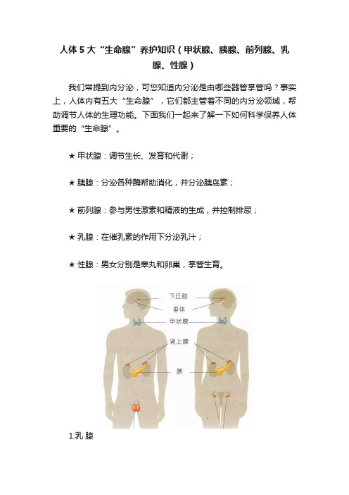 人体5大“生命腺”养护知识（甲状腺、胰腺、前列腺、乳腺、性腺）