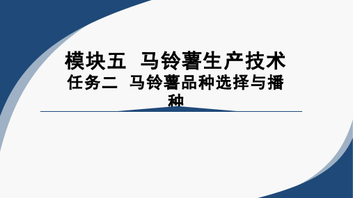 《作物生产技术》课程教学课件-5.2.2马铃薯播种技术  课件