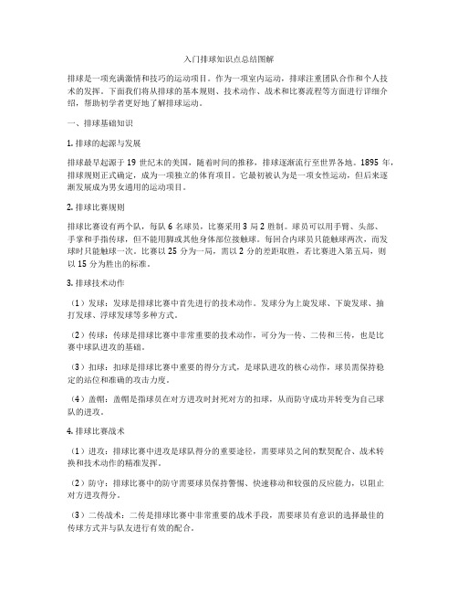 入门排球知识点总结图解