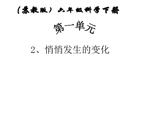 六年级下册科学课件1.2悄悄发生的变化苏教版