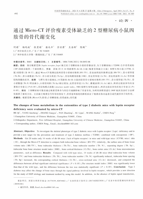 通过Micro-CT评价瘦素受体缺乏的2型糖尿病小鼠四肢骨的骨代谢变化