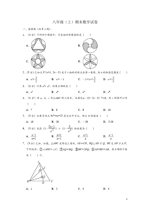 八年级上学期期末数学试卷 (含解析)