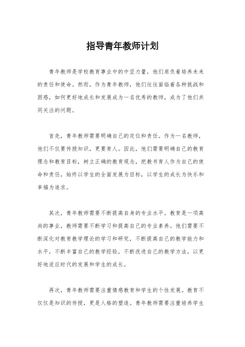 指导青年教师计划