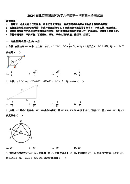 2024届北京市密云区数学九年级第一学期期末检测试题含解析