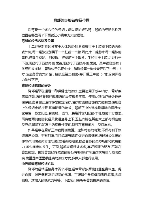 背部的经络名称及位置