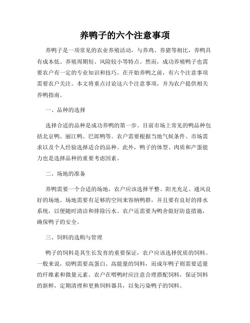 养鸭子的六个注意事项