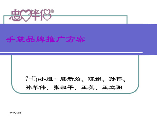 忠心伴侣手袋品牌推广方案
