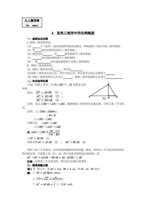 九上册：直角三角形中的比例线段