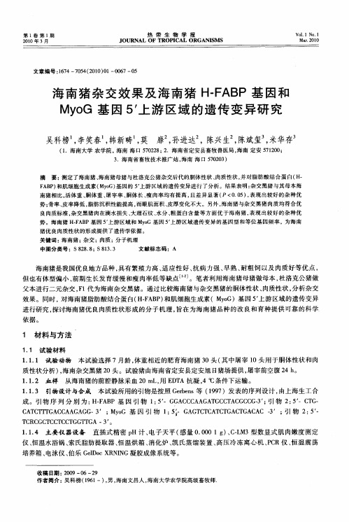 海南猪杂交效果及海南猪H—FABP基因和MyoG基因5′上游区域的遗传变异研究