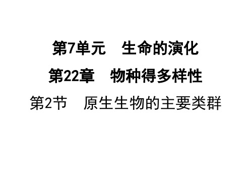 2019年秋八年级生物北师大版下册课件：22.2原生生物的主要类群(共21张PPT)