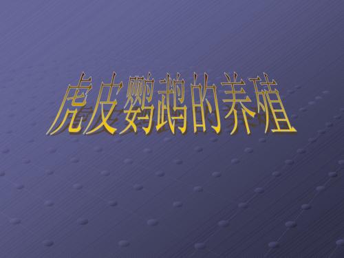 虎皮鹦鹉的养殖