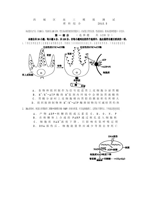 2018北京西城区高三二模理综试题及答案