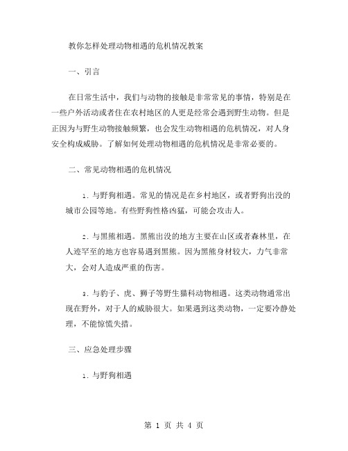 教你怎样处理动物相遇的危机情况教案