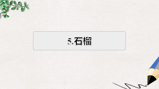 三年级语文上册第5单元16石榴习题课件2苏教版