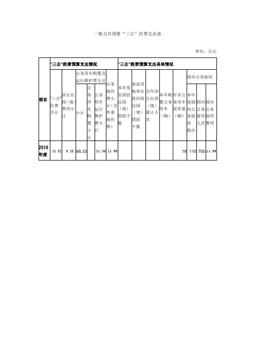 一般公共预算三公经费支出表